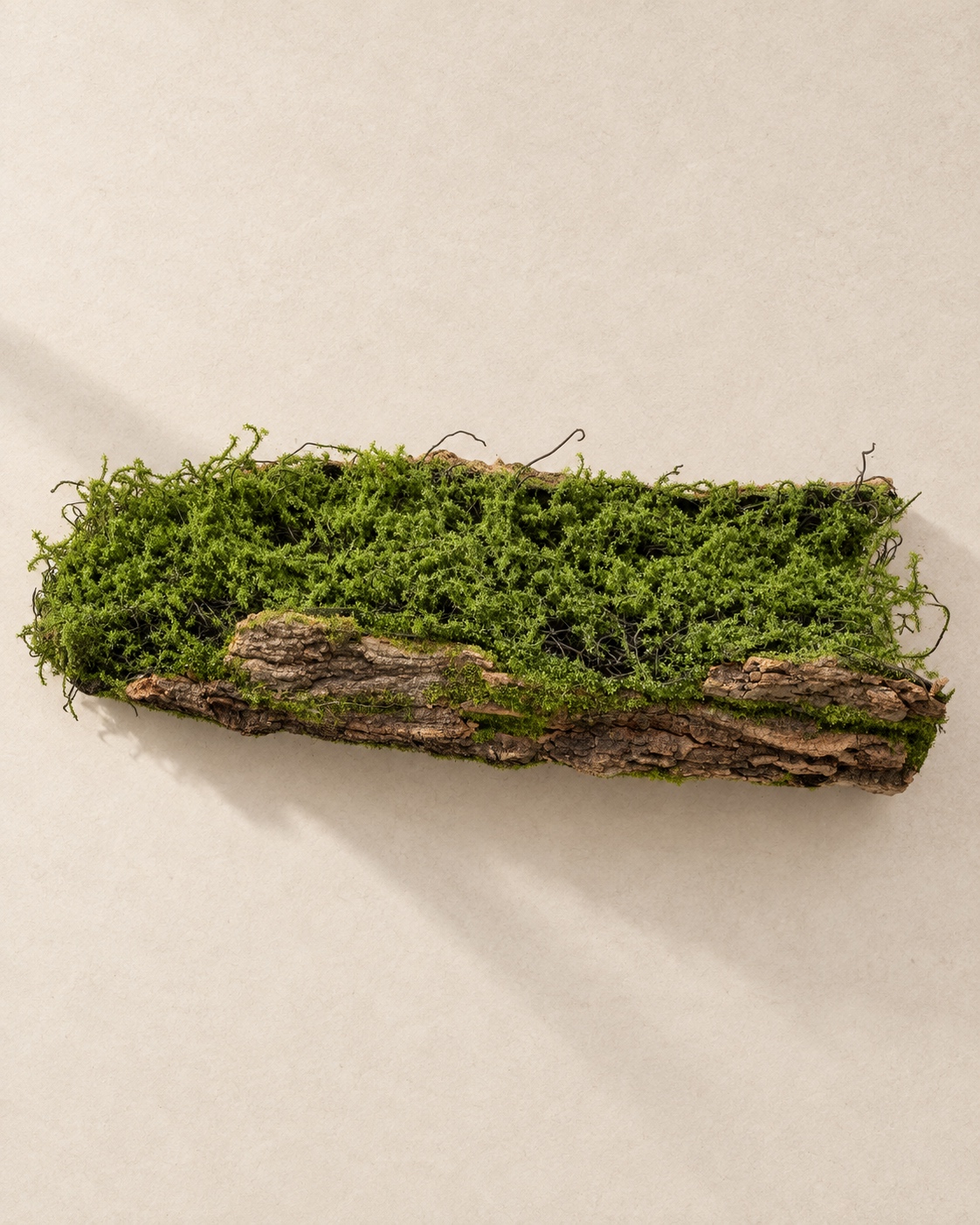 Large Bark Trough Planter with Moss 2