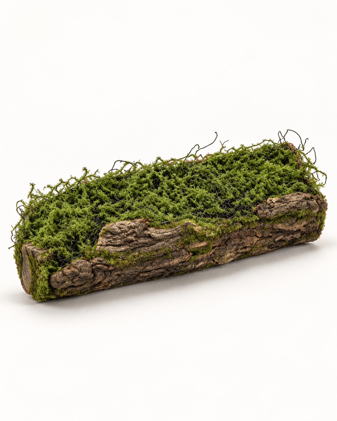 Large Bark Trough Planter with Moss 4