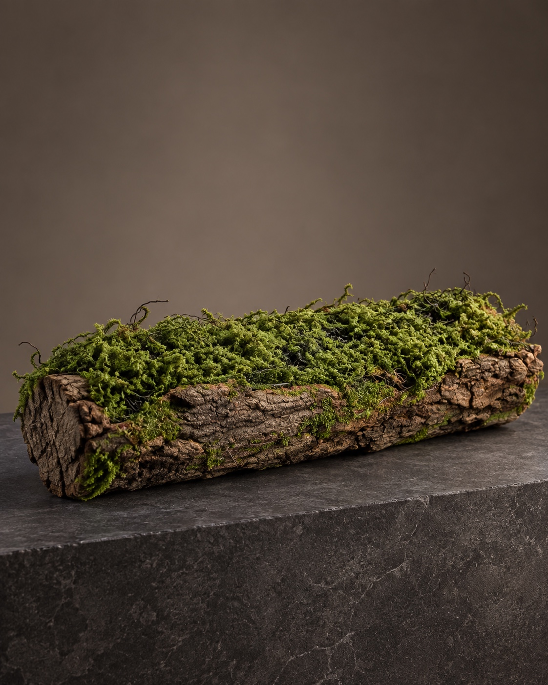 Large Bark Trough Planter with Moss 3