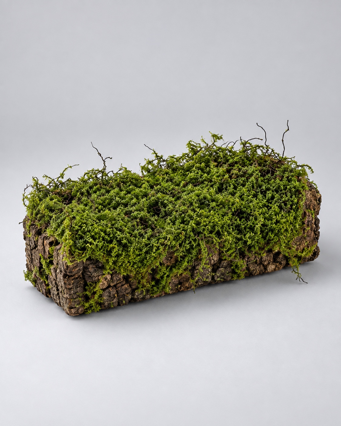 Small Bark Planter with Moss 4