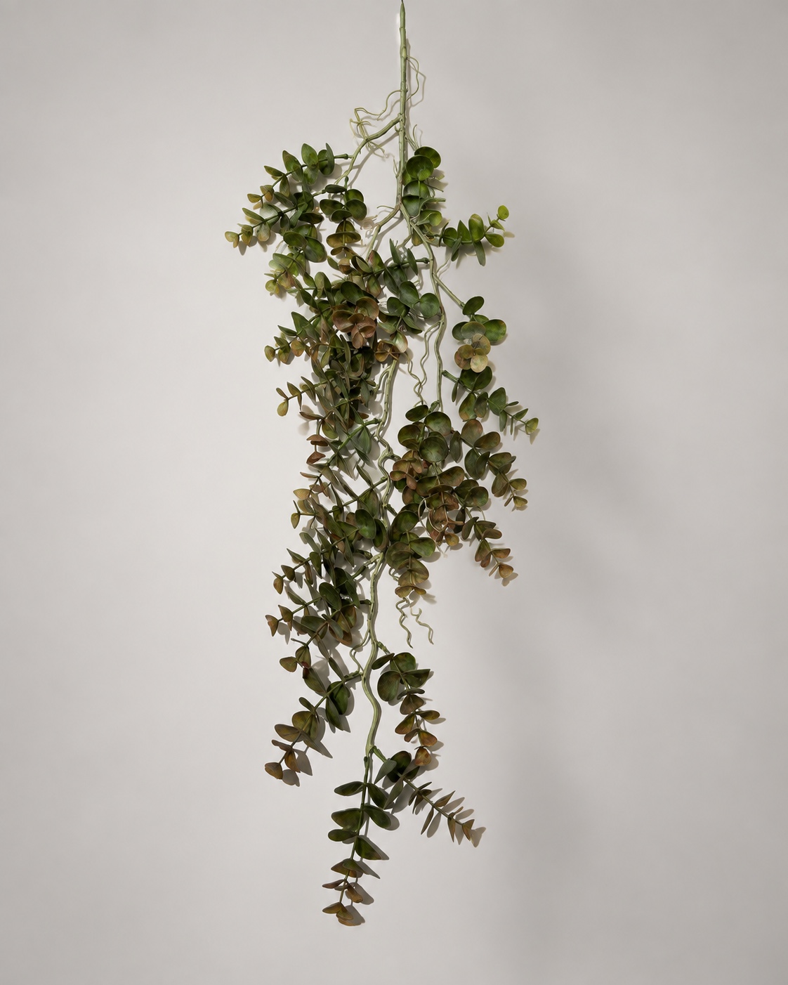 Premium Flower Stem XF66991 2