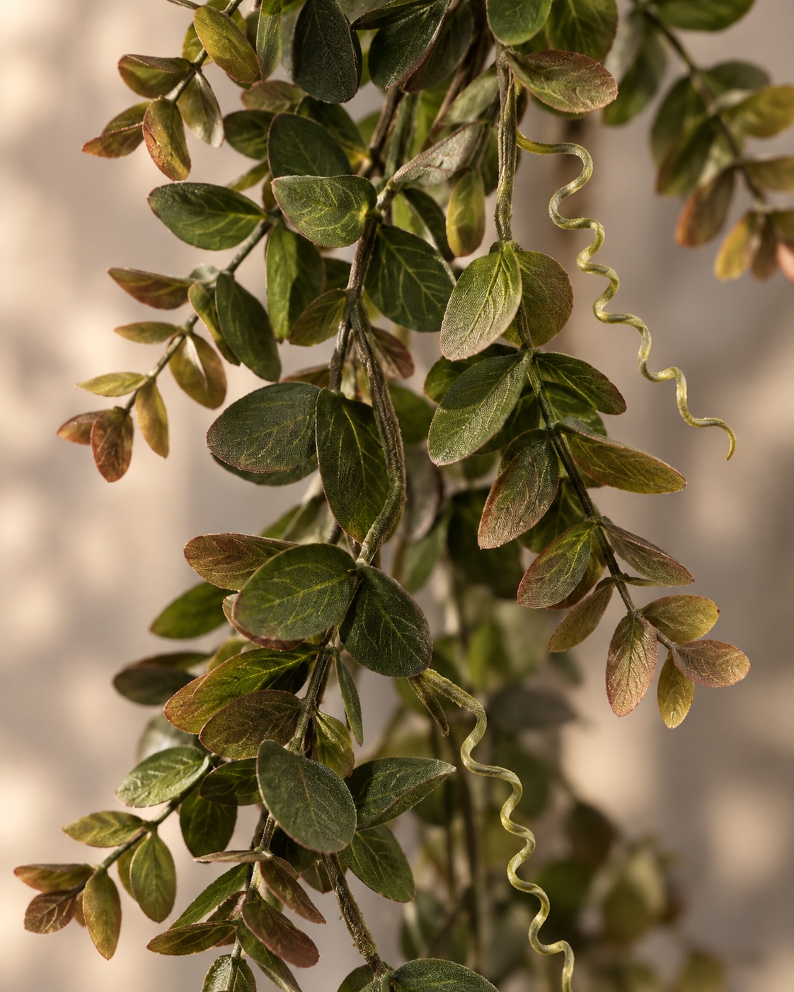 Premium Flower Stem XF66991 3
