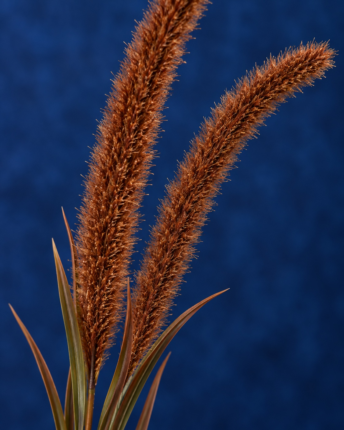 Rust Brown Artificial Grass Plume Branch 2