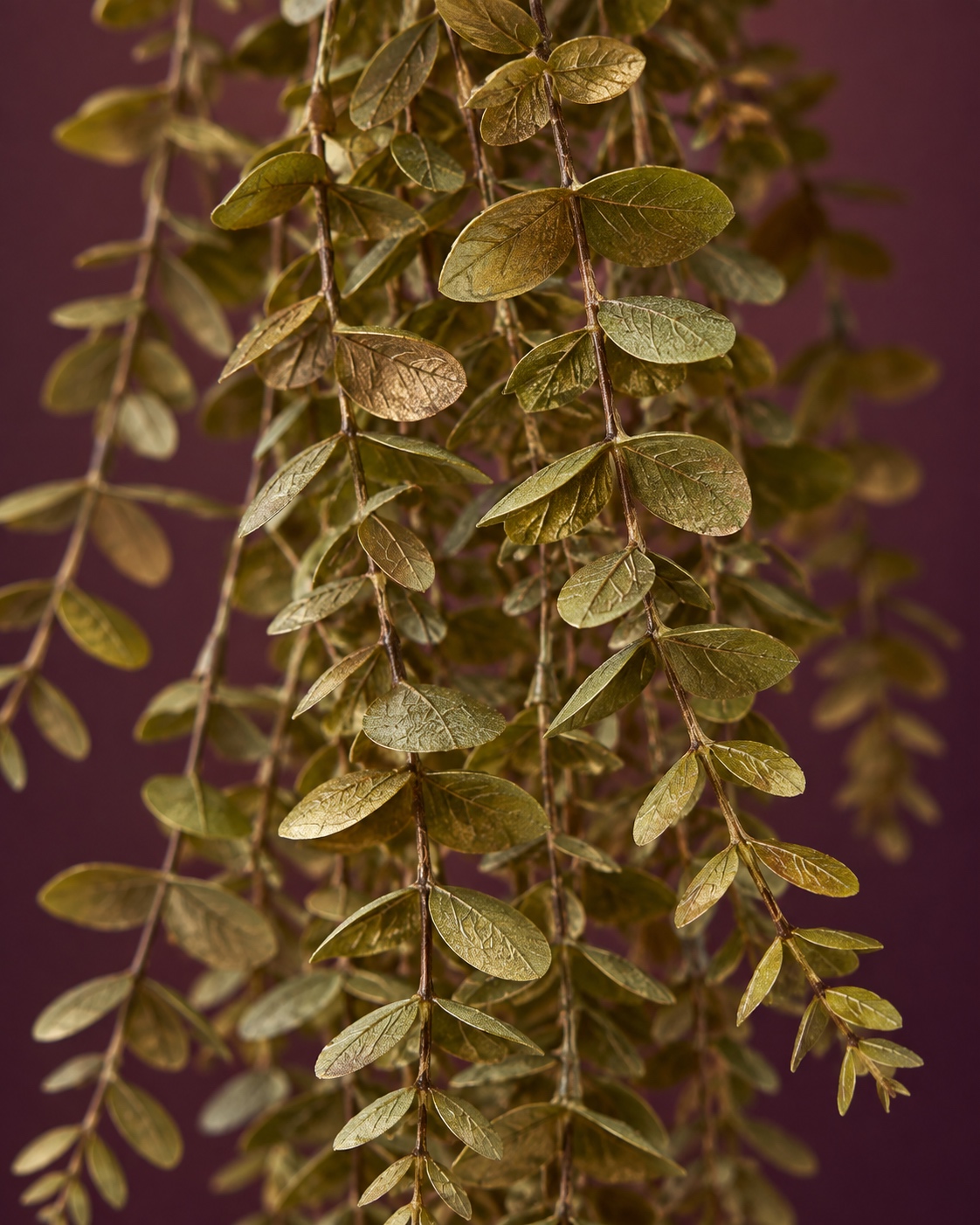 Olive Gold Artificial Hanging Eucalyptus 2