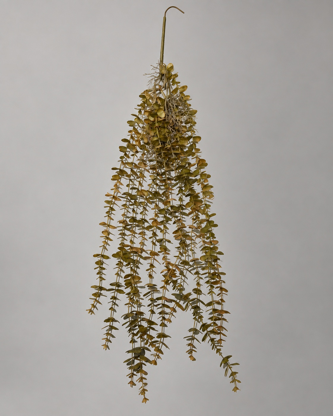 Olive Gold Artificial Hanging Eucalyptus 4