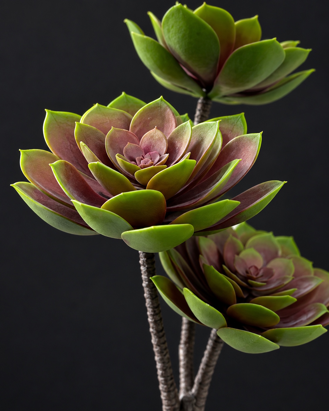 Artificial Green and Burgundy Succulent Spray 5