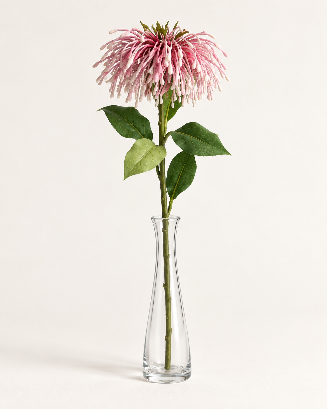 Pink and White Artificial Pincushion Flower Stem 4