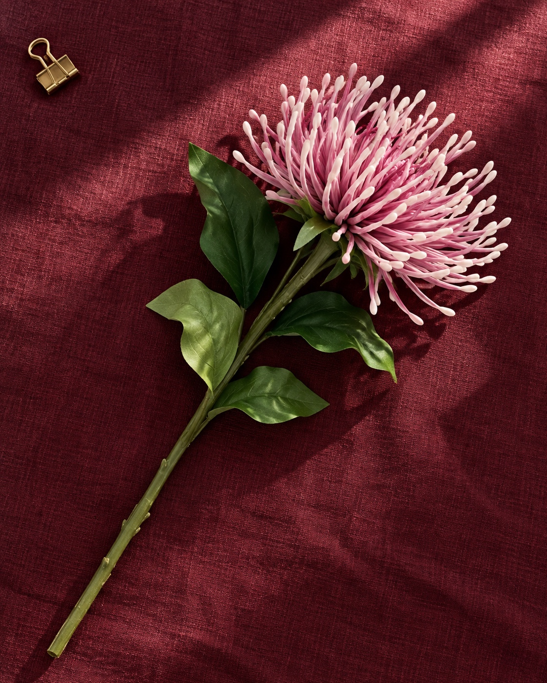 Pink and White Artificial Pincushion Flower Stem 3