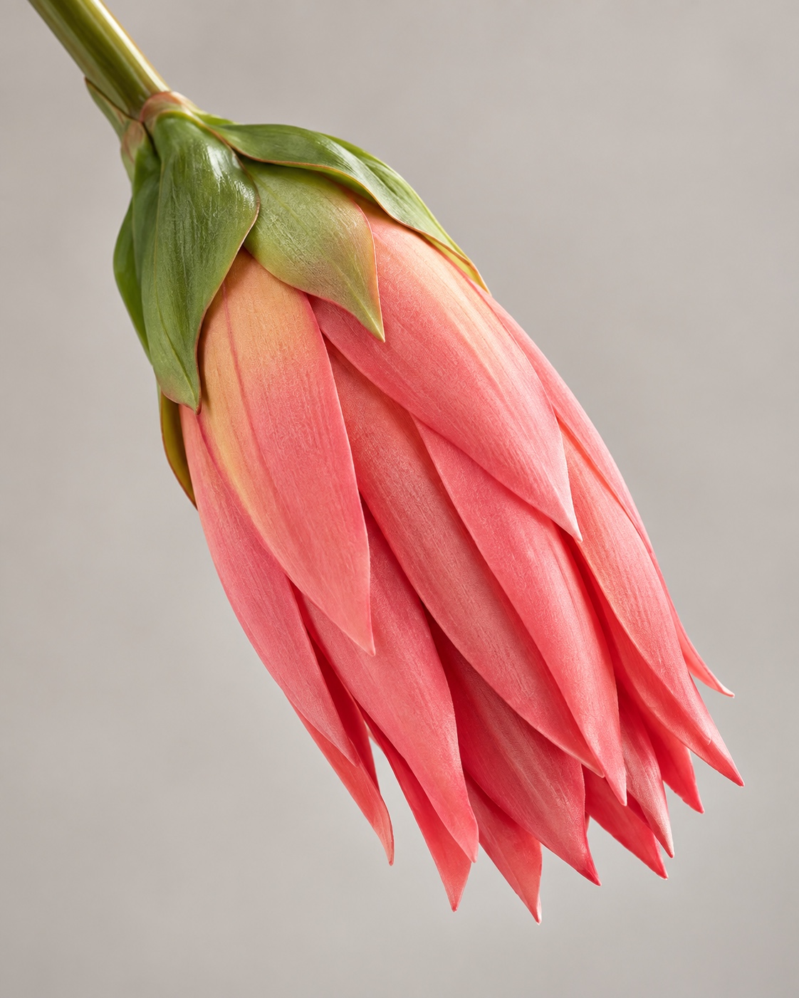 Coral Pink Artificial Imperial Flower Stem 2