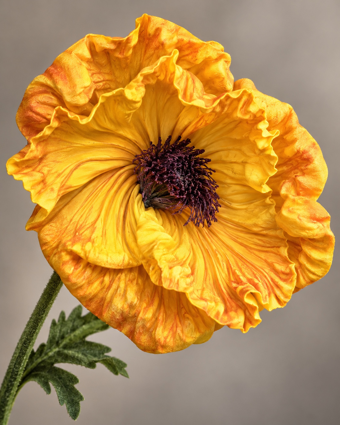 Golden Yellow Artificial Poppy Stem 4