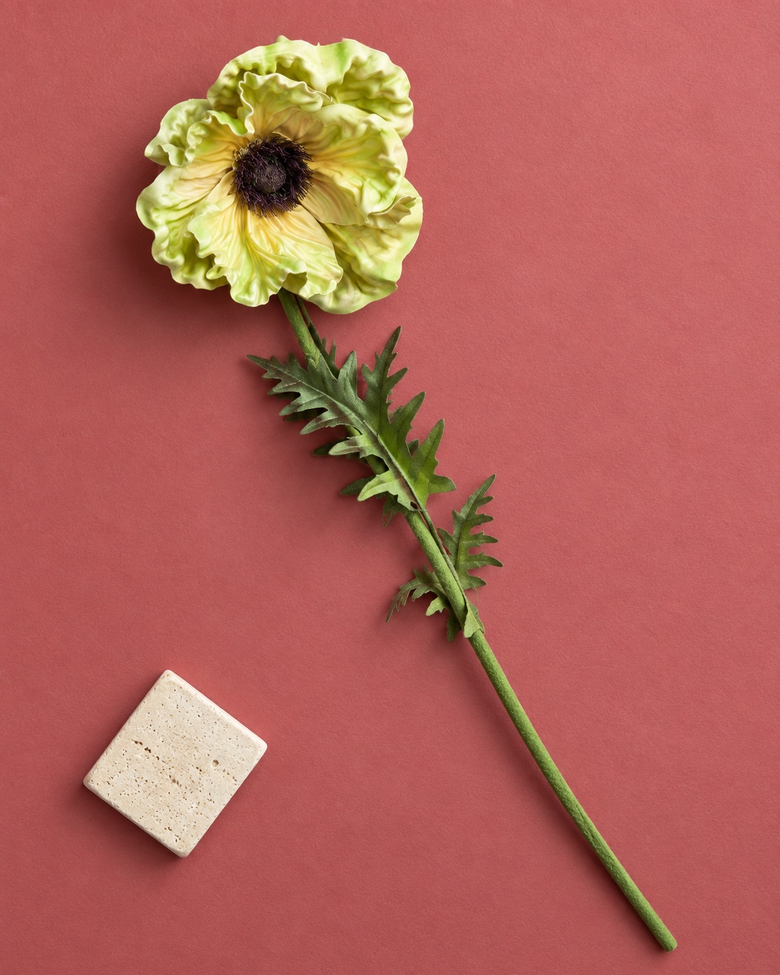 Pale Green Artificial Poppy Stem 5