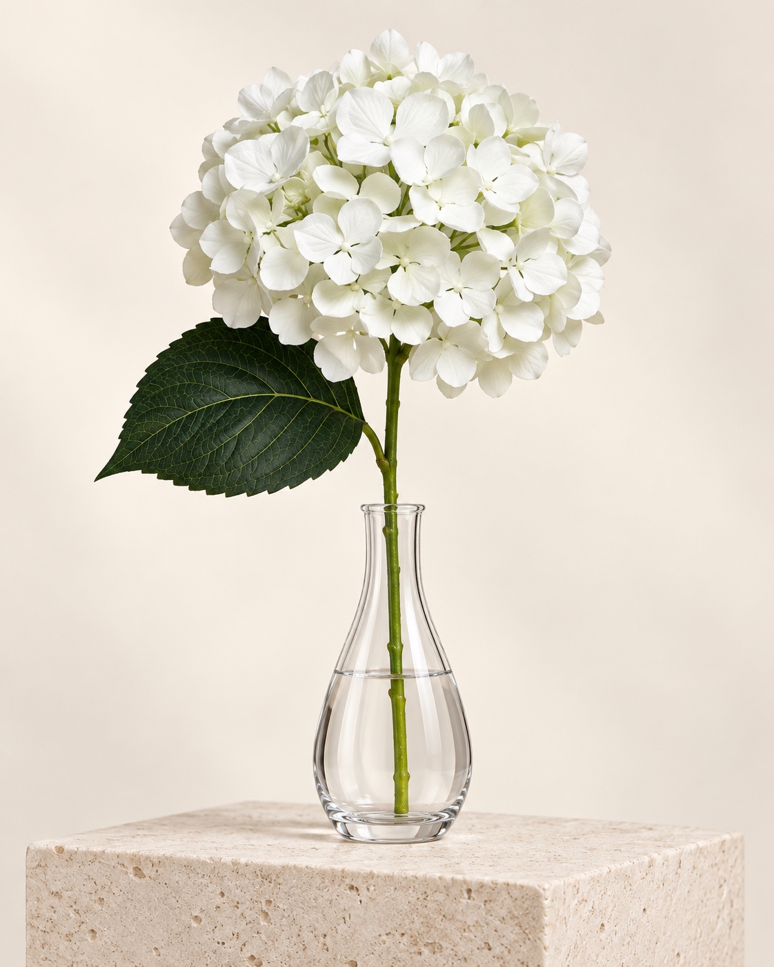White Artificial Hydrangea Stem 4