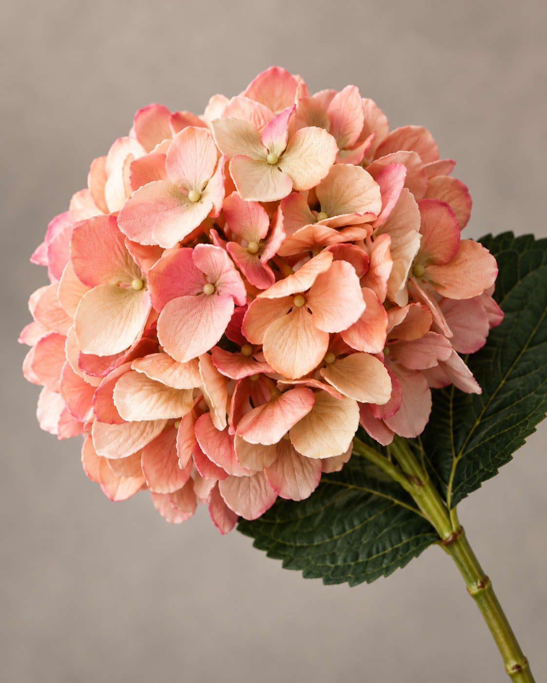 Peach Artificial Hydrangea Stem 2