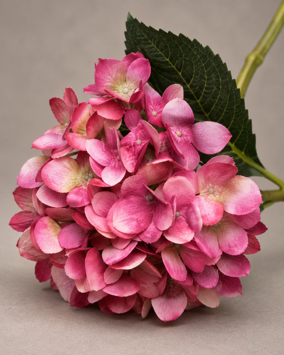 Deep Pink Artificial Hydrangea Stem 5
