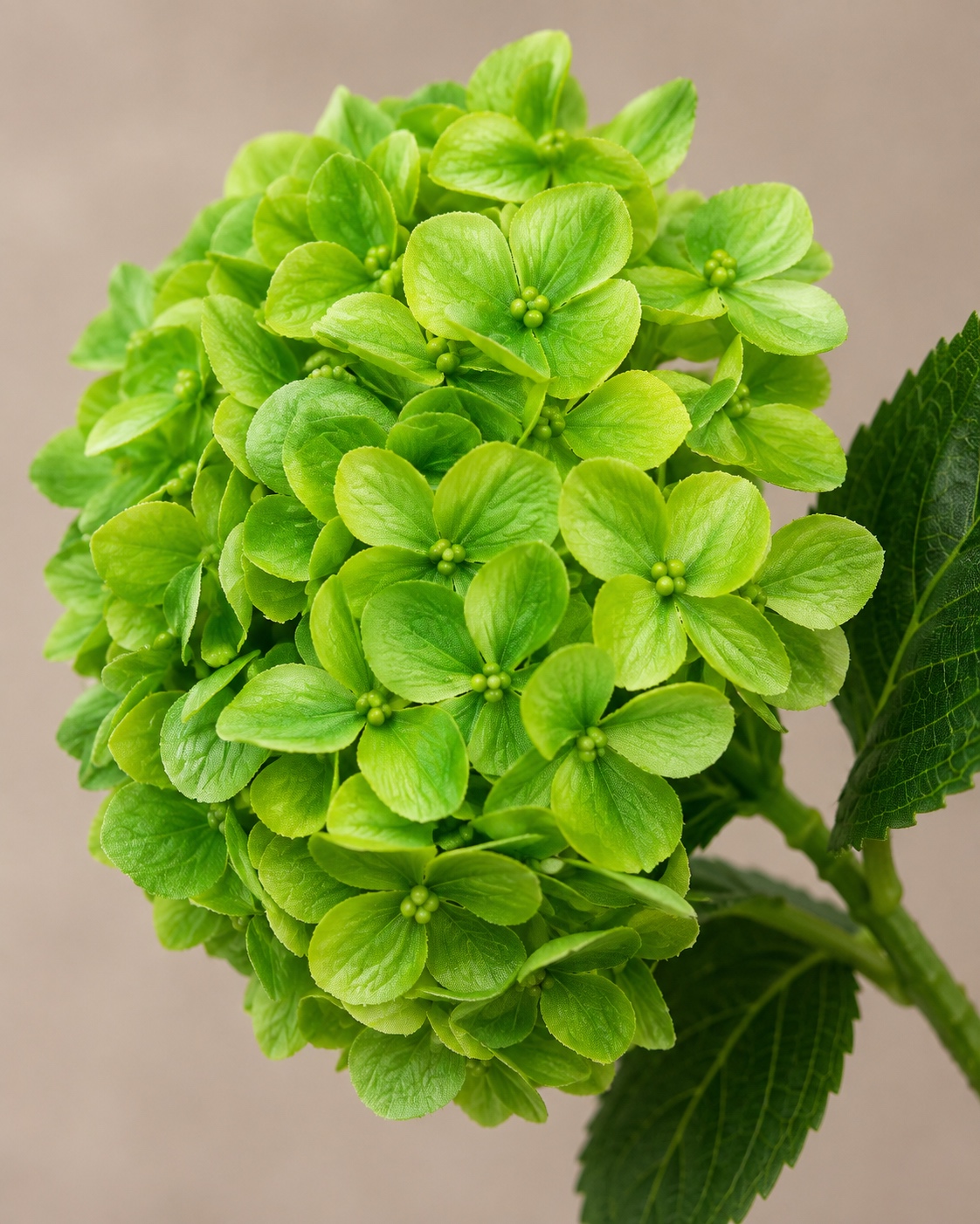 Bright Green Artificial Hydrangea Stem 3