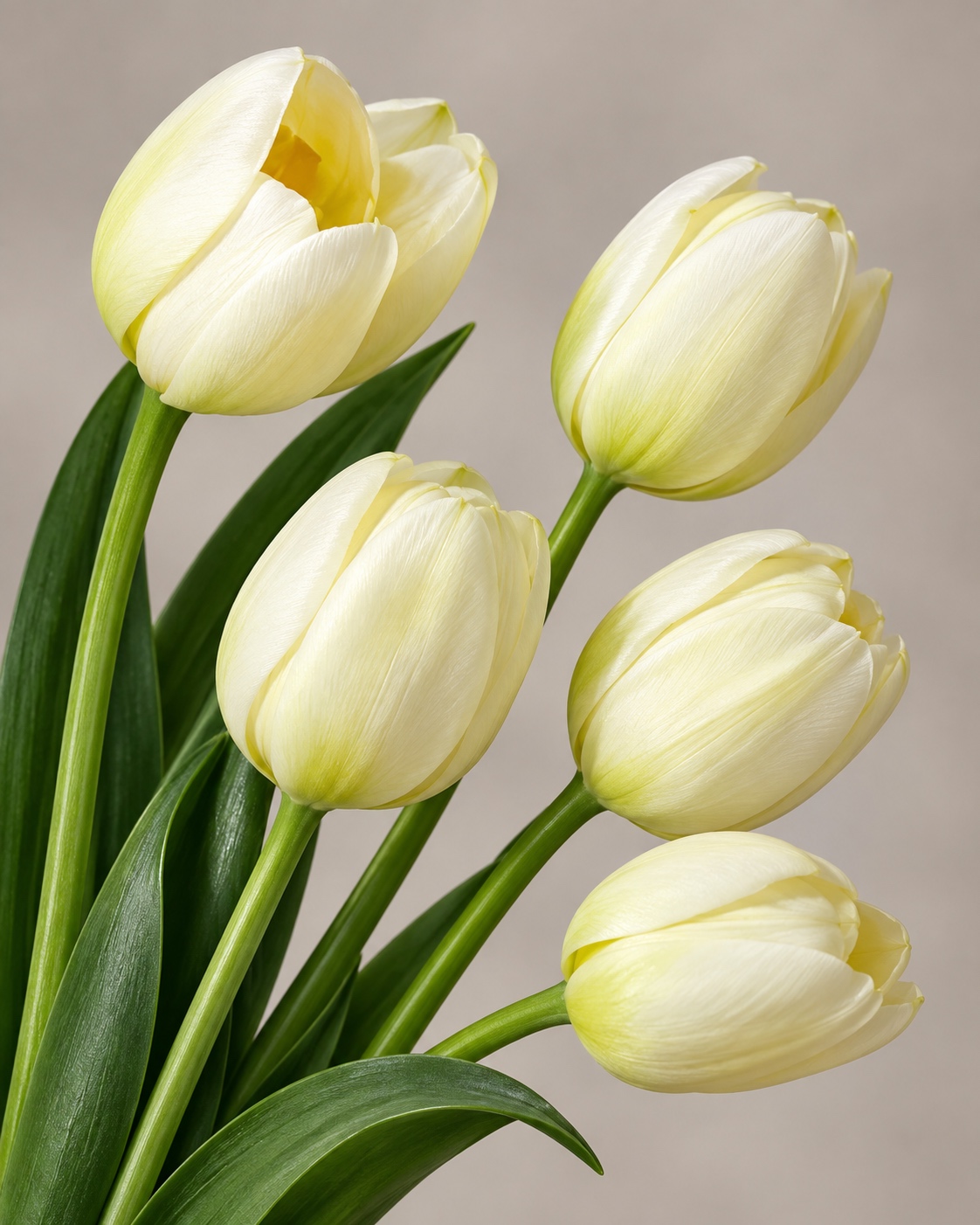 White Five Head Artificial Tulip Bunch 3