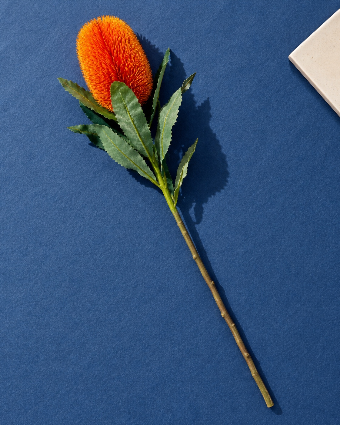 Orange Artificial Banksia Stem 3
