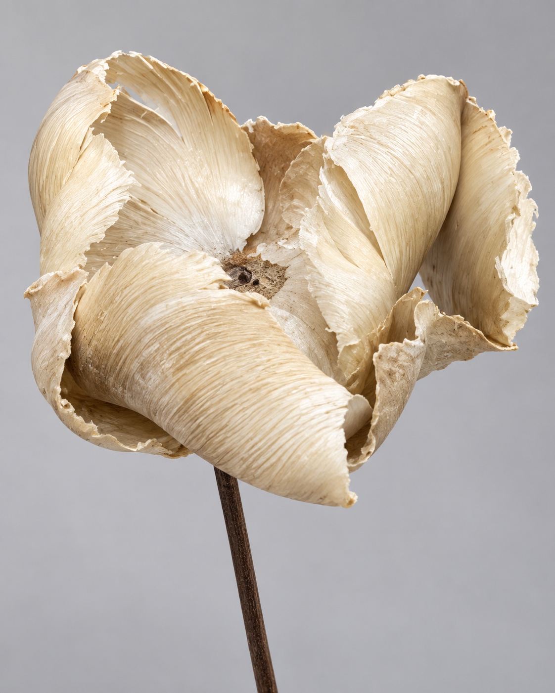 Three Piece Artificial Coconut Shell Flower Stem Set 2