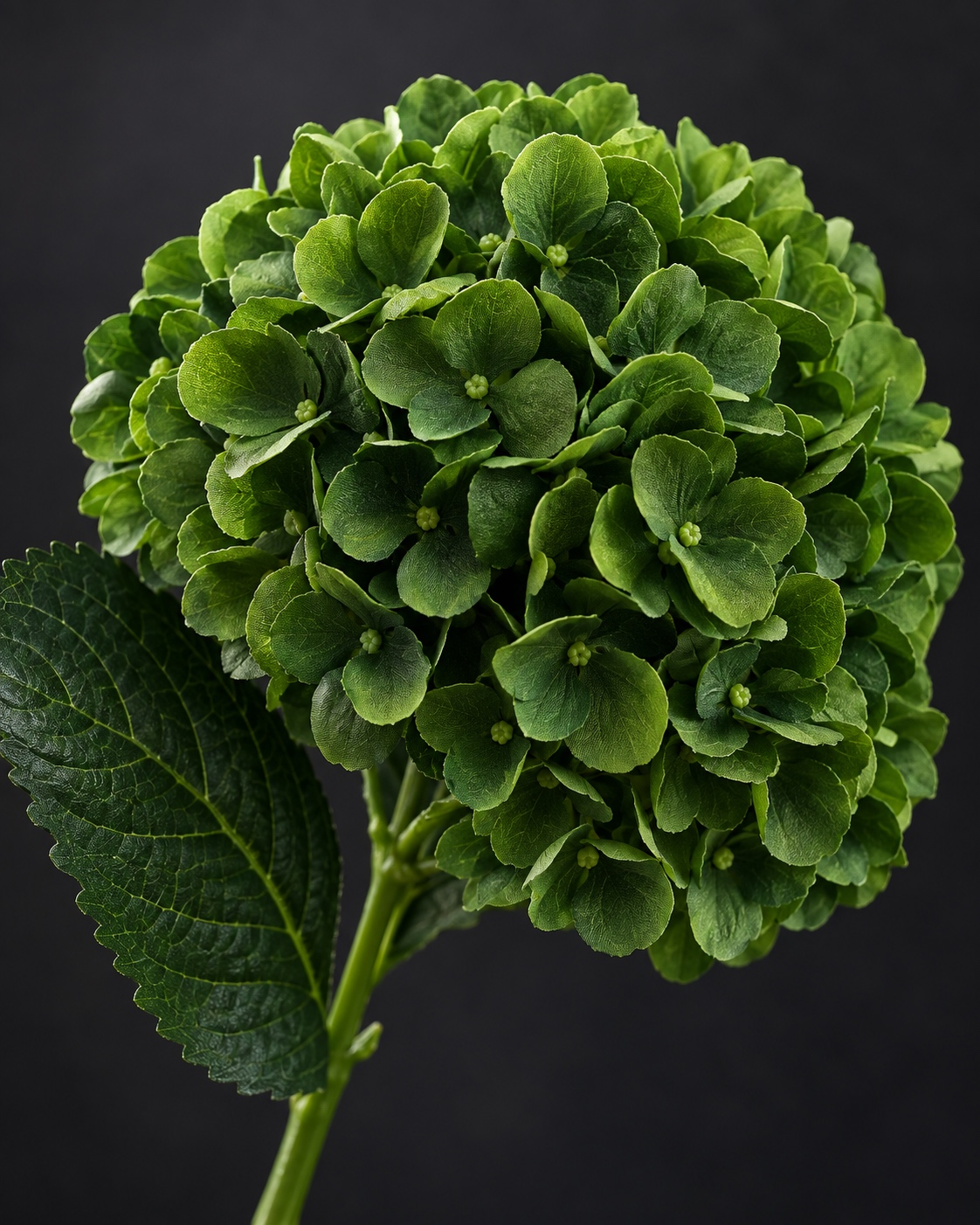 Dark Green Artificial Hydrangea Stem 5