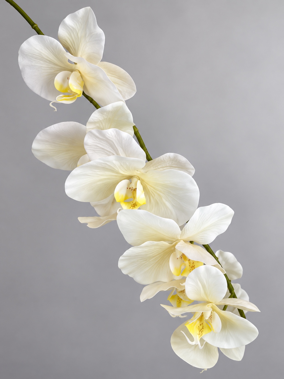 White Artificial Phalaenopsis Orchid Spray 3