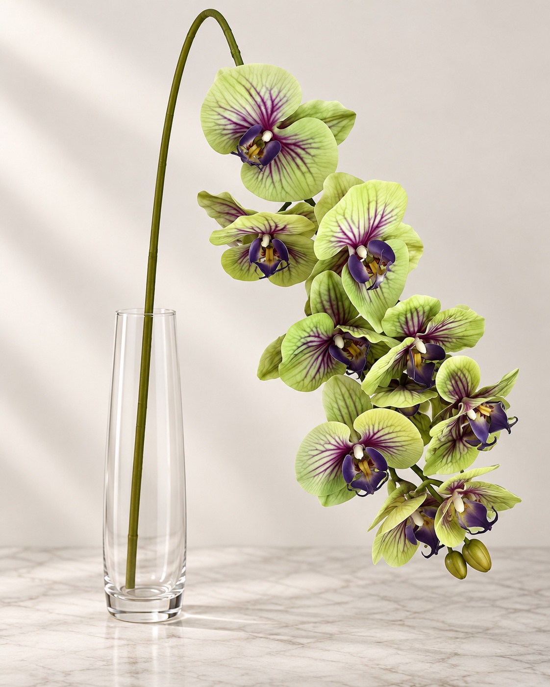 Hand-Touch Phalaenopsis L1192 COLOR GREEN 3