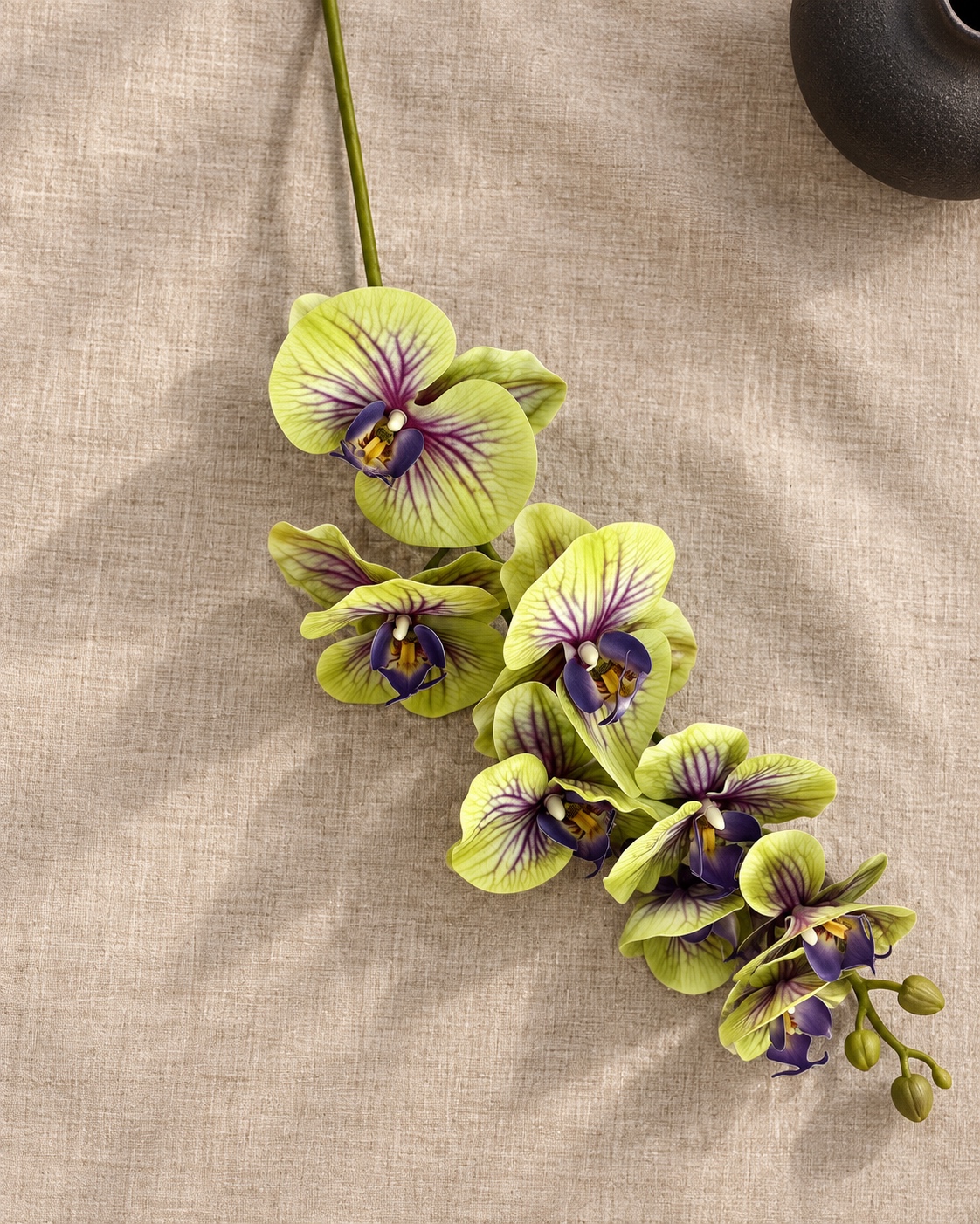 Hand-Touch Phalaenopsis L1192 COLOR GREEN 2