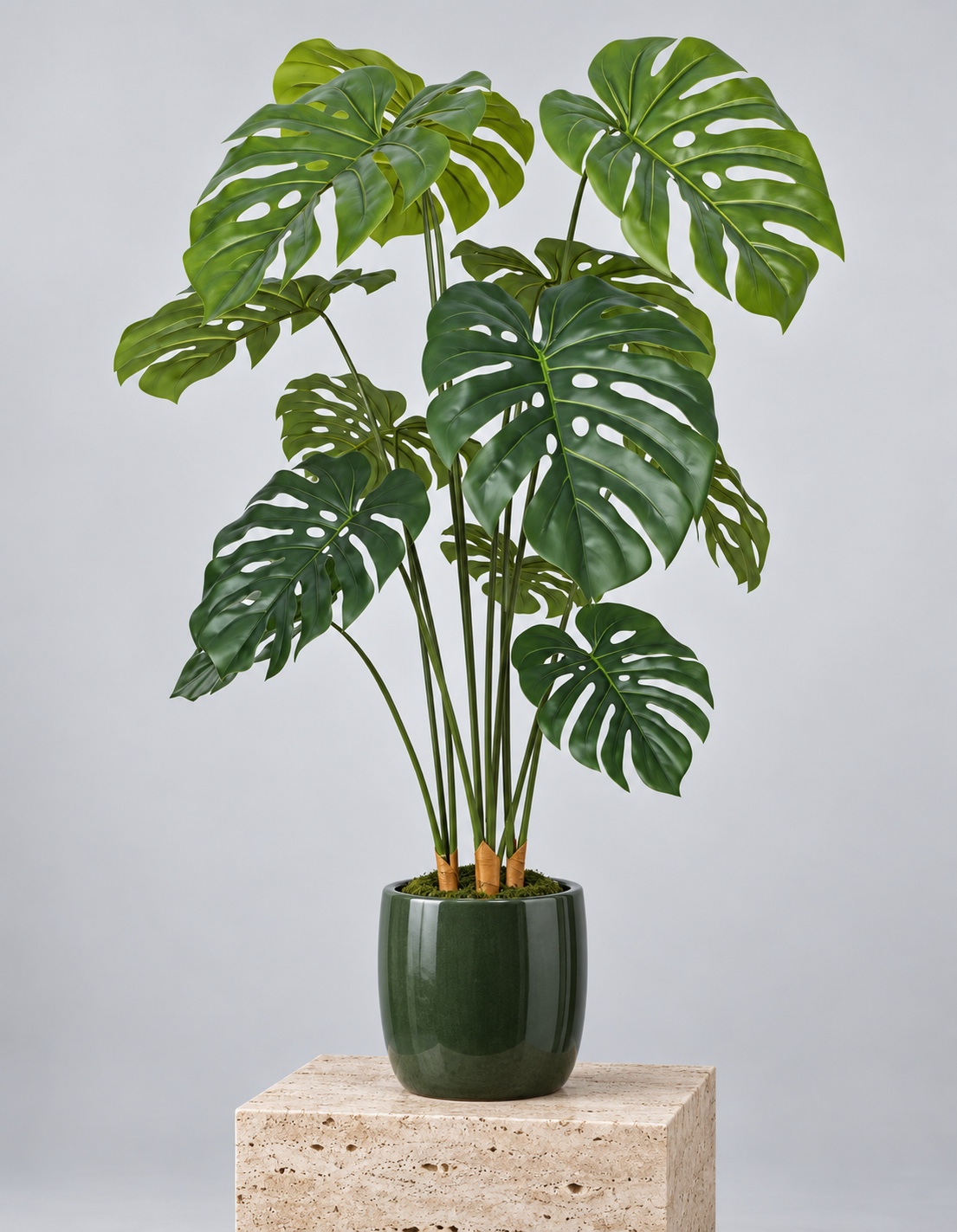 Artificial Monstera Floor Plant with Split Leaves 3
