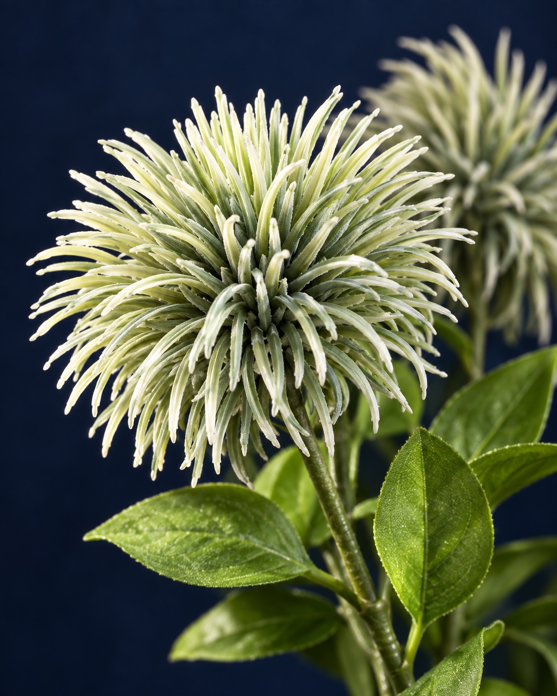 Ivory Green Artificial Pincushion Flower Branch 3